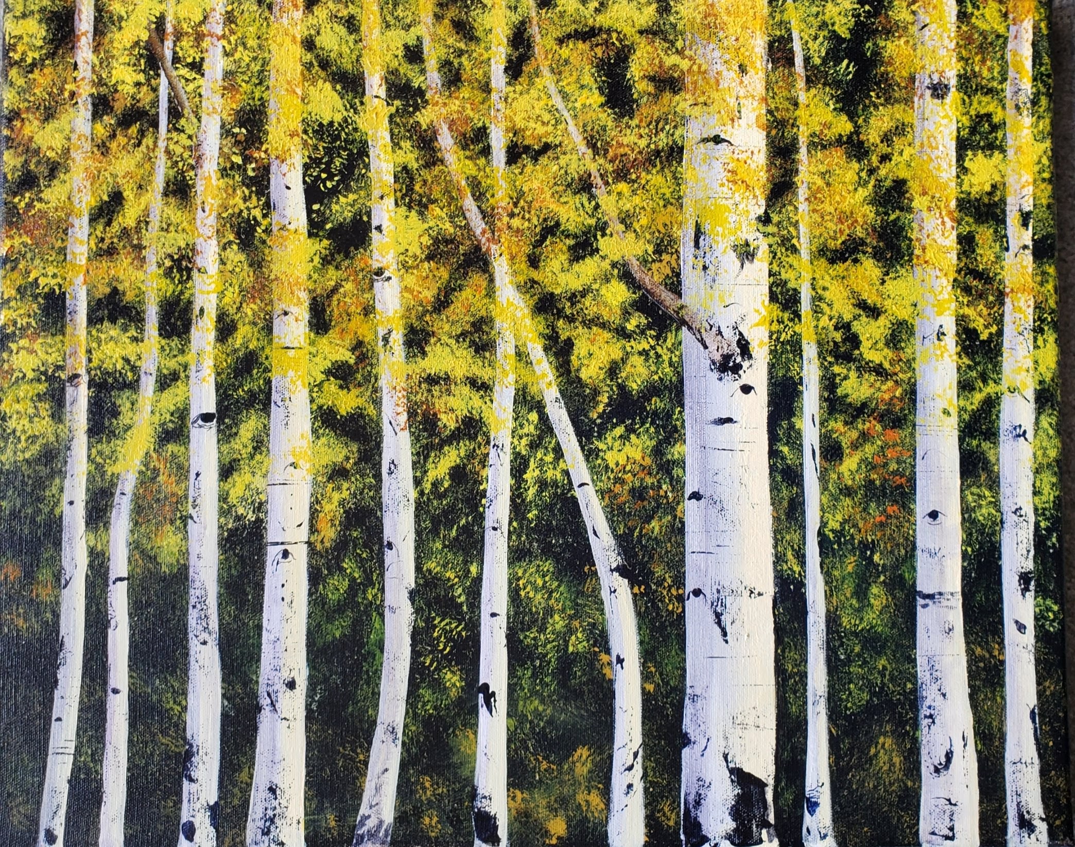 Aspen Gold